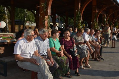 Dożynki Gminne 2025 w Wojsławicach